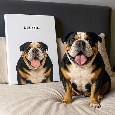 Modern Pet Portraits