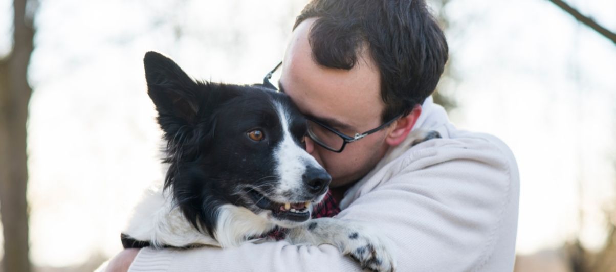 5 Ways to Celebrate Valentines Day With Your Pet?