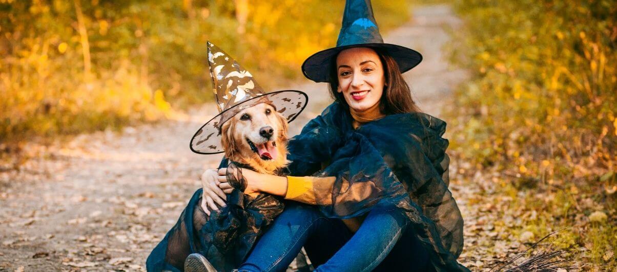 Make Halloween safe for your pets