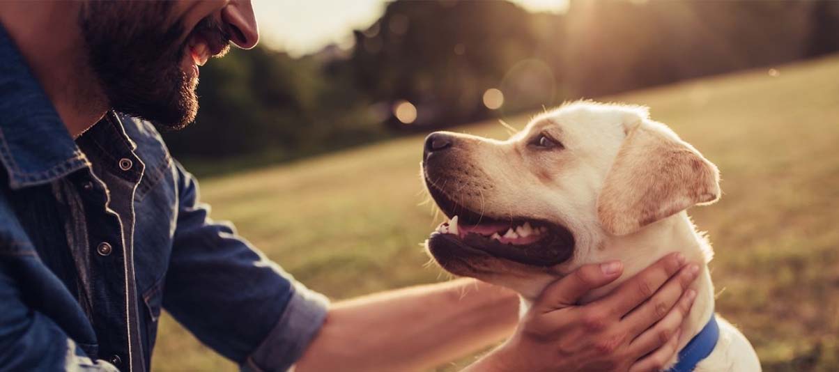 5 Things Your Dog Understands About You