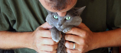 how do cats choose their best friend?