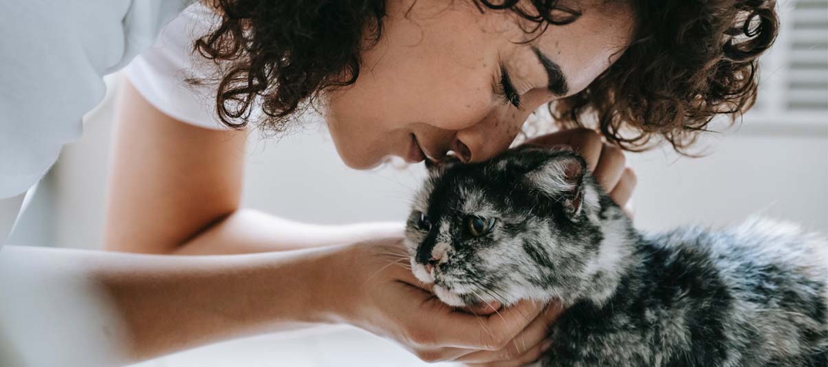 How To Care For Your Cat the Right Way