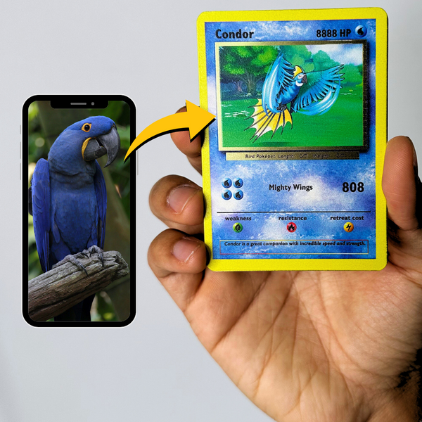 Pokepet