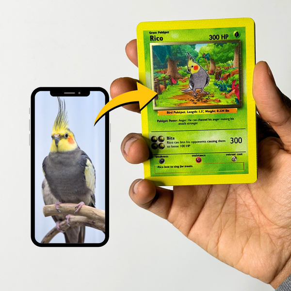 Pokepet