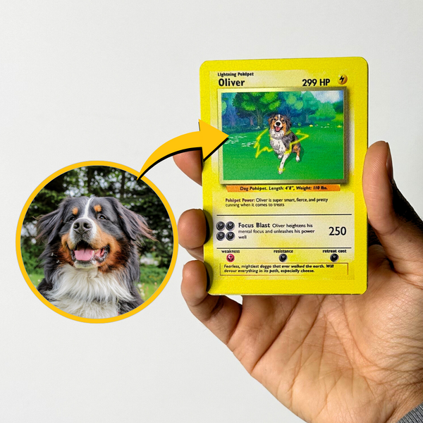 Pokepet