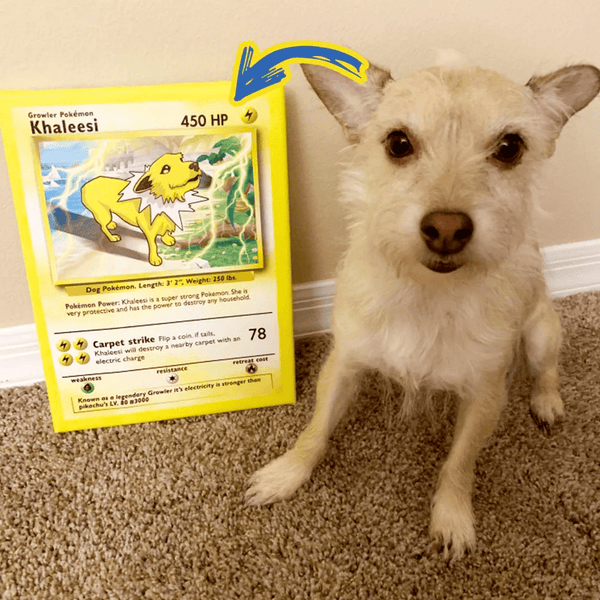 Pokepet