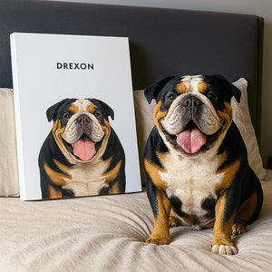Modern Pet Portraits