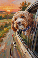 Open Road