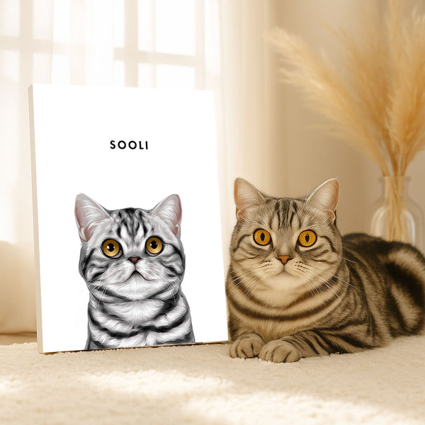 Modern Pet Portraits