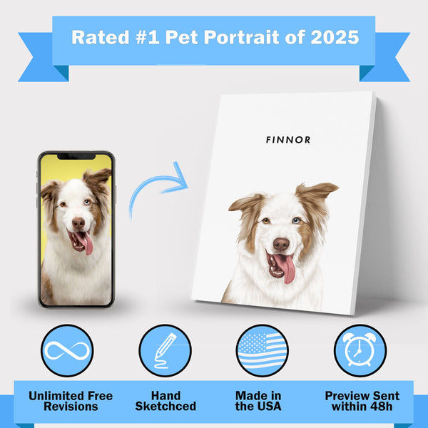 Modern Pet Portrait