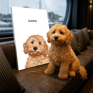 Modern Pet Portraits