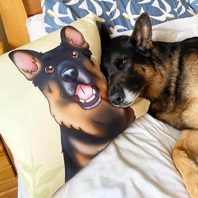 Custom Cartoon Pet Plush Pillow